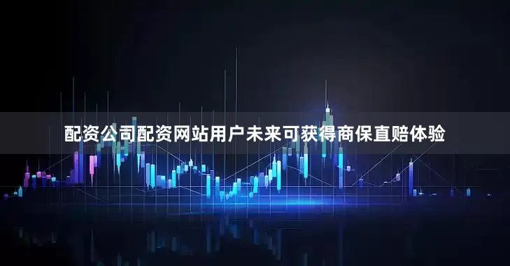 配资公司配资网站用户未来可获得商保直赔体验