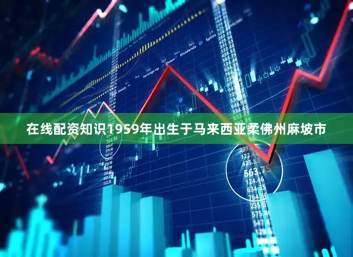 在线配资知识1959年出生于马来西亚柔佛州麻坡市