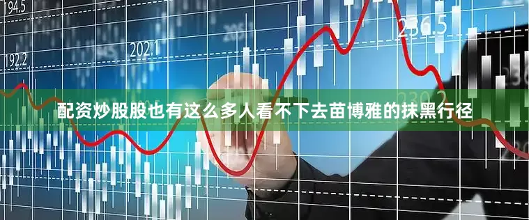 配资炒股股也有这么多人看不下去苗博雅的抹黑行径