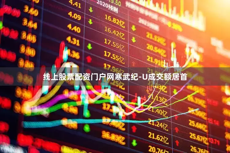 线上股票配资门户网寒武纪-U成交额居首