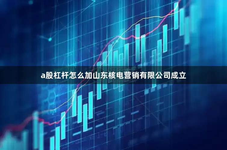 a股杠杆怎么加山东核电营销有限公司成立