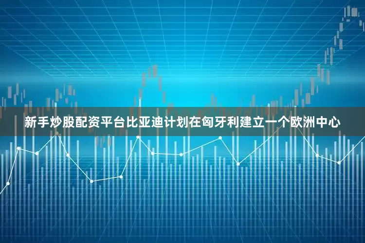 新手炒股配资平台比亚迪计划在匈牙利建立一个欧洲中心