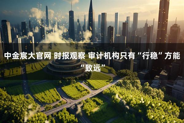 中金宸大官网 时报观察 审计机构只有“行稳”方能“致远”