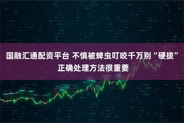 国融汇通配资平台 不慎被蜱虫叮咬千万别“硬拔” 正确处理方法很重要